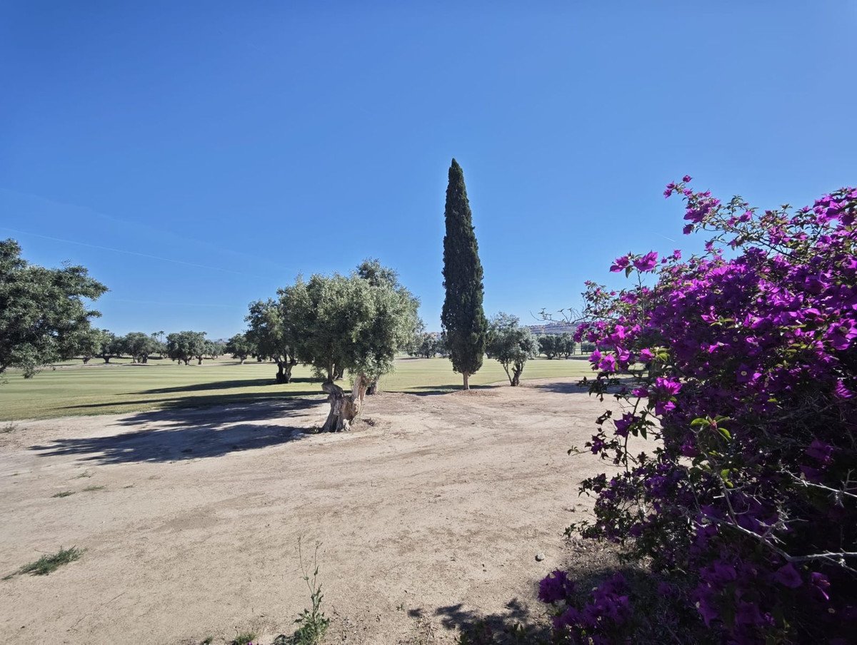 4 Bed Detached Villa in Algorfa