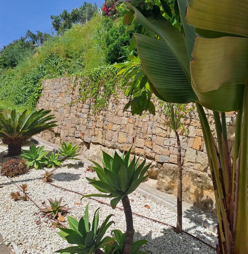 2 Bed Ground Floor Apartment in Casares Playa