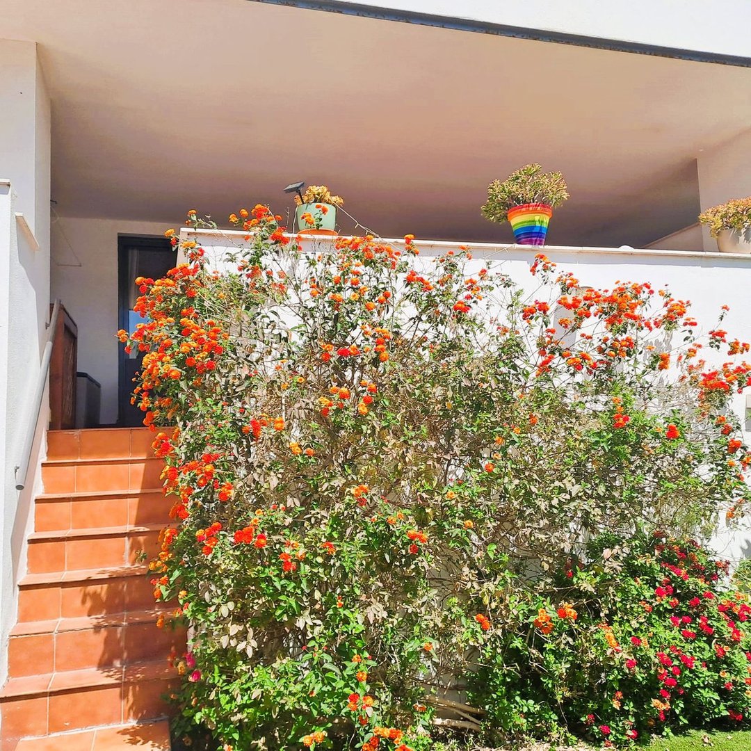 2 Bed Ground Floor Apartment in Casares Playa