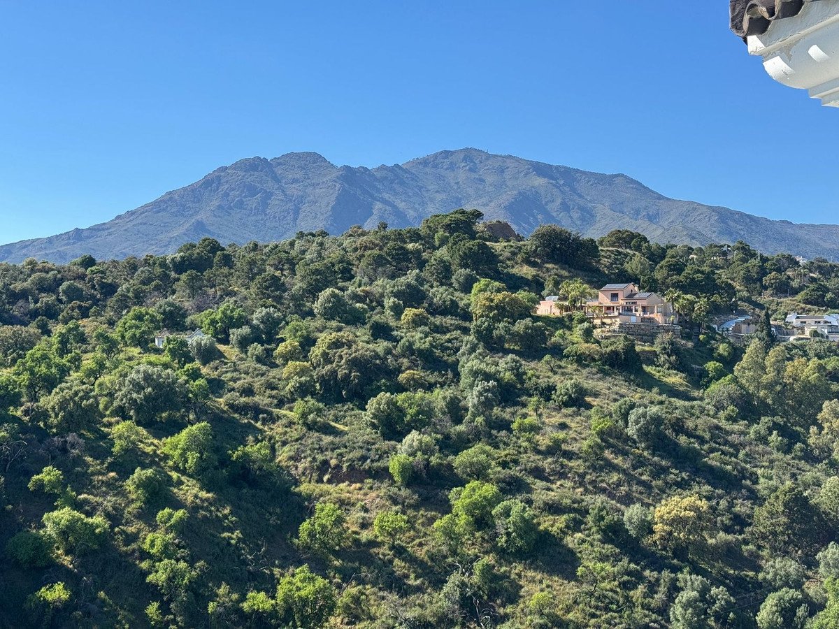 4 Bed Middle Floor Apartment in Estepona