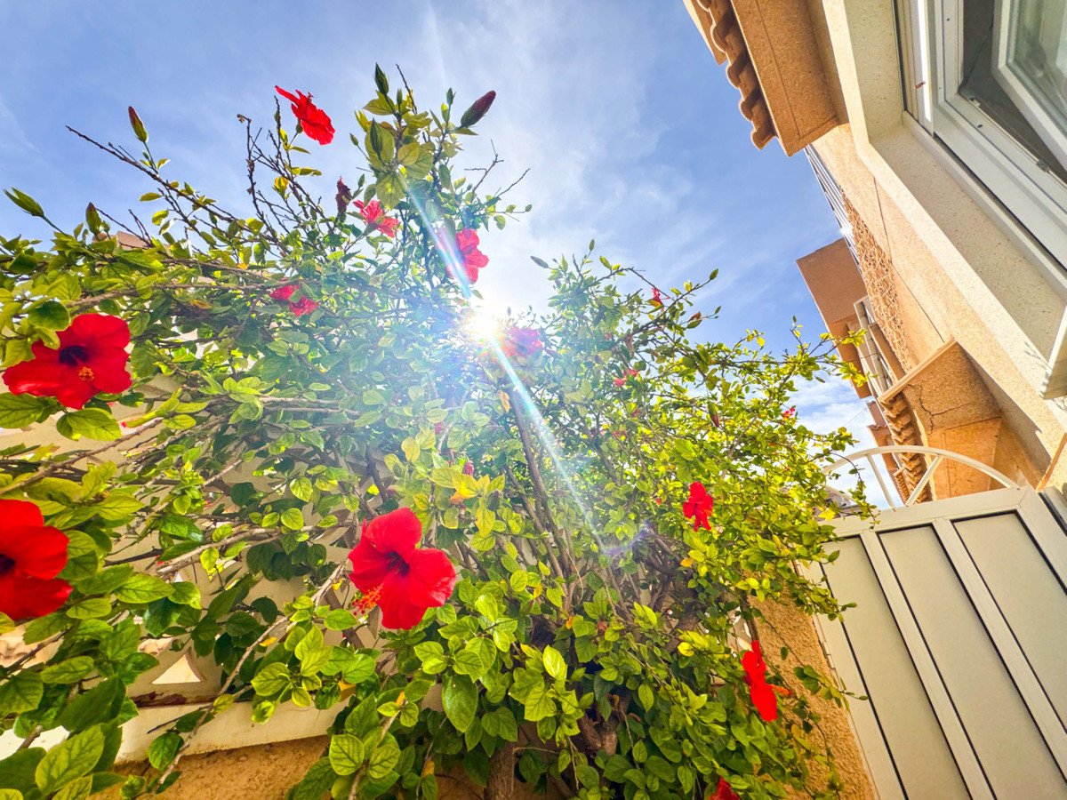 3 Bed Townhouse in Playa De La Mata