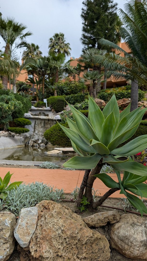 4 Bed Semi-Detached House in Riviera del Sol