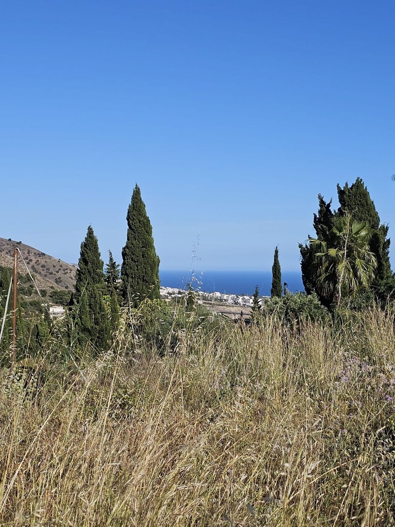 Land in Frigiliana