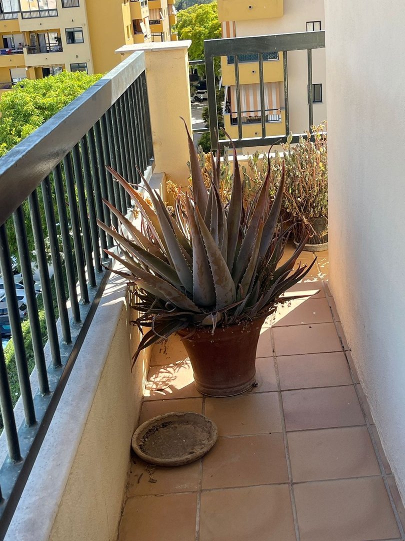 3 Bed Middle Floor Apartment in San Pedro de Alcántara