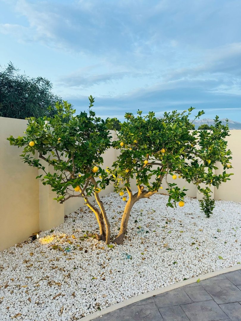 4 Bed Detached Villa in L'Alfás del Pi