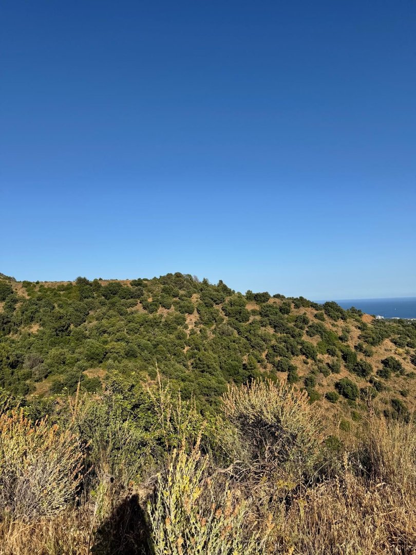Commercial Plot in Sierra Blanca