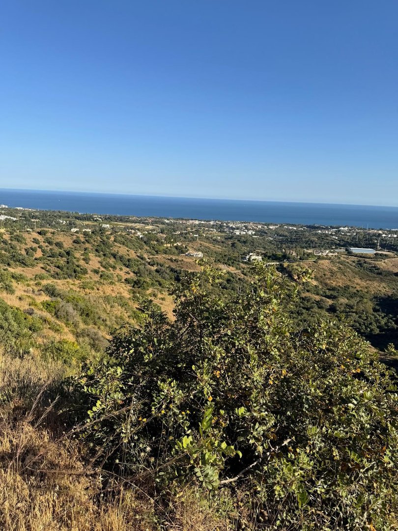 Commercial Plot in Sierra Blanca