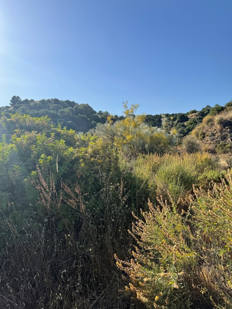 Commercial Plot in Sierra Blanca