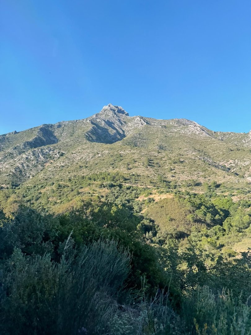 Commercial Plot in Sierra Blanca