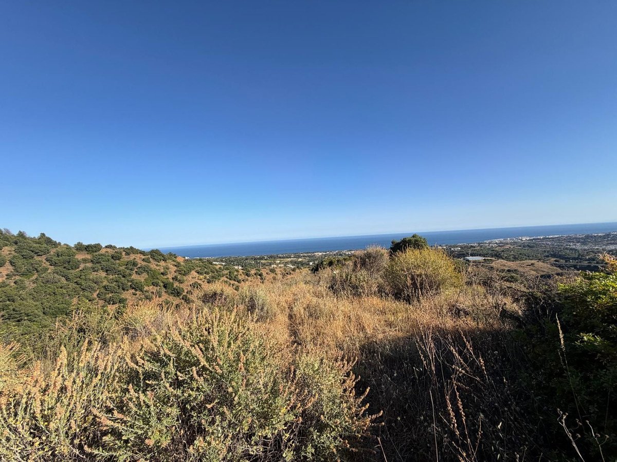 Commercial Plot in Sierra Blanca