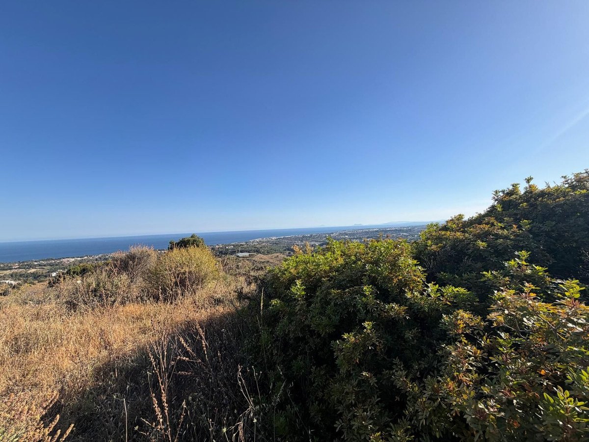 Commercial Plot in Sierra Blanca