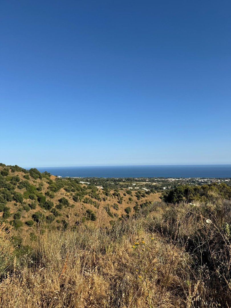 Commercial Plot in Sierra Blanca