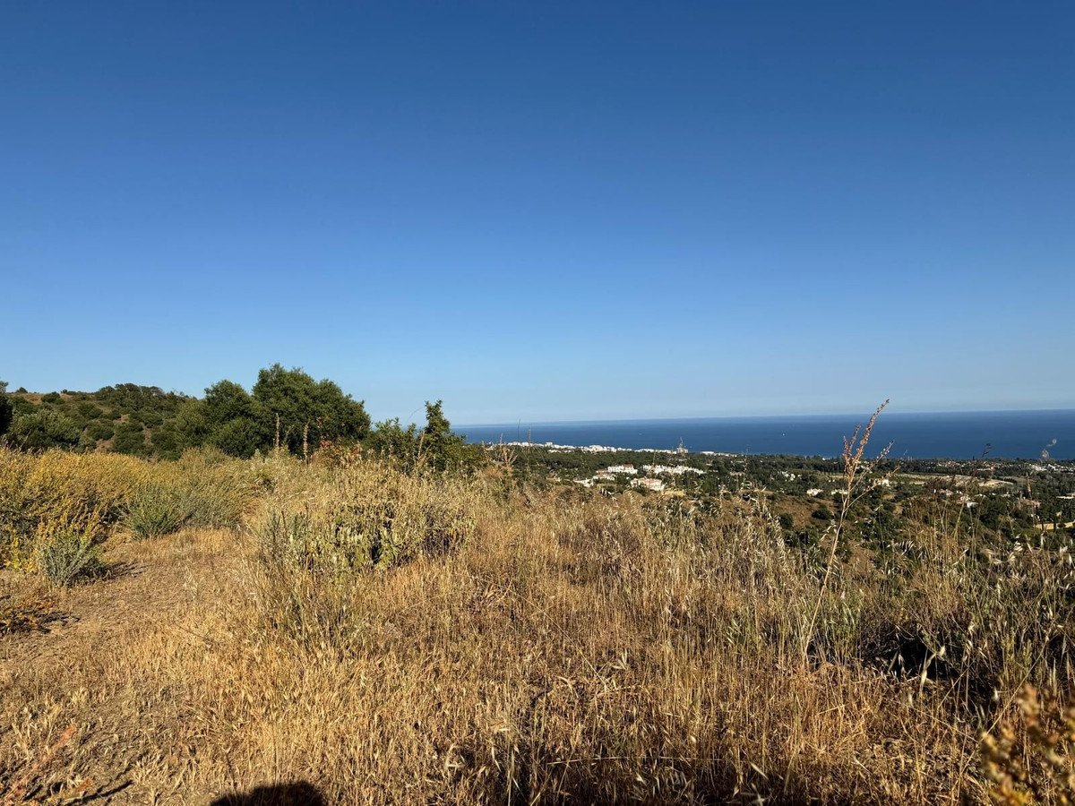 Commercial Plot in Sierra Blanca