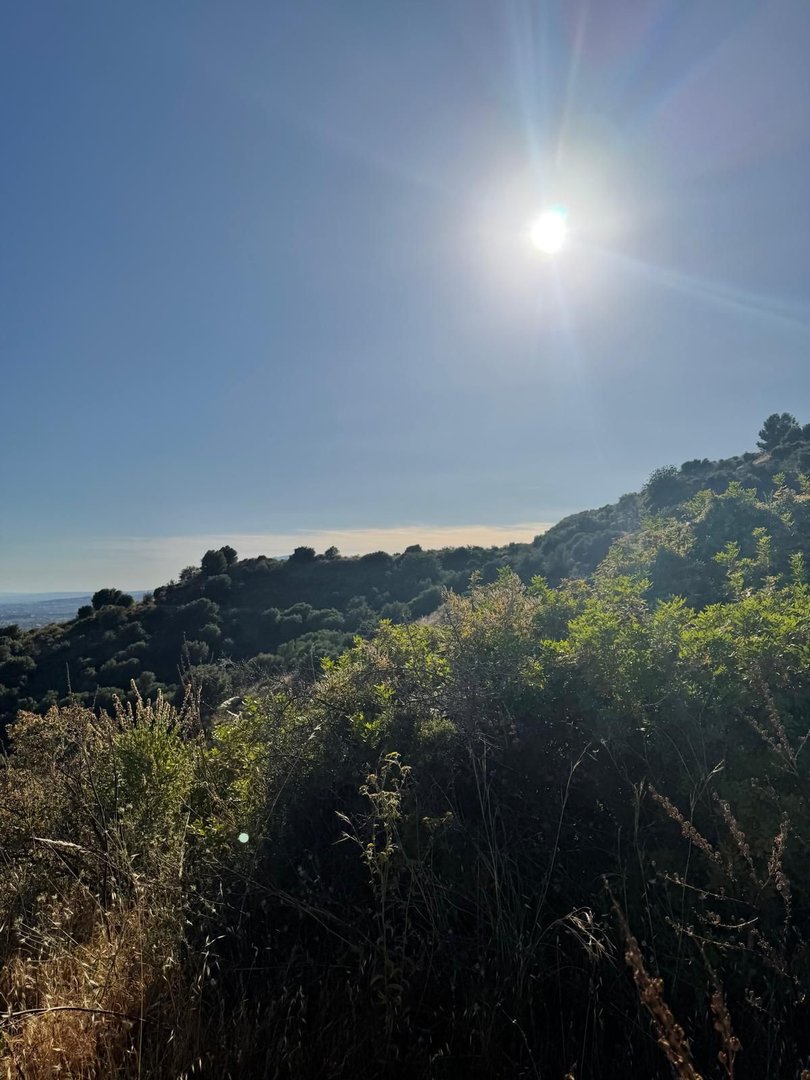 Commercial Plot in Sierra Blanca
