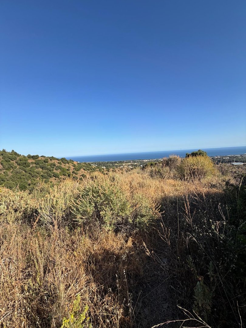 Commercial Plot in Sierra Blanca