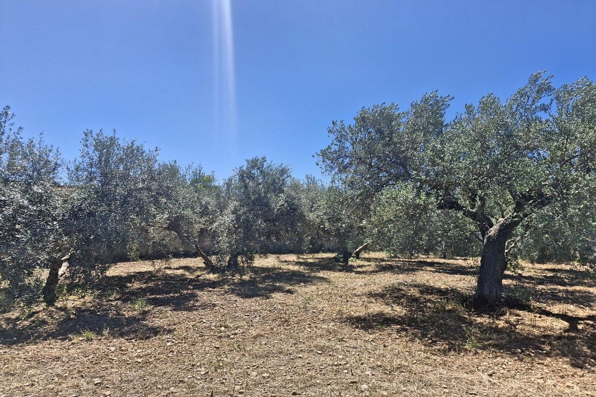 4 Bed Finca - Cortijo in Campanillas