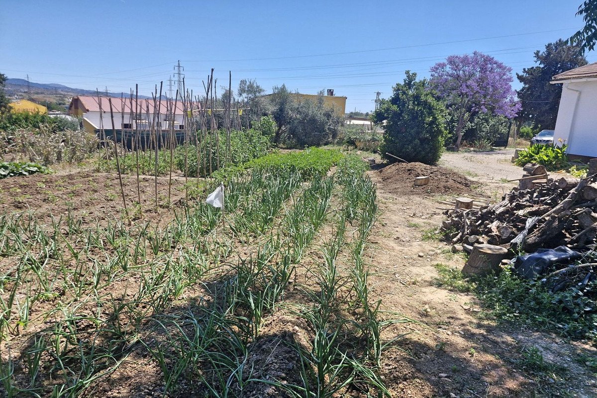 4 Bed Finca - Cortijo in Campanillas