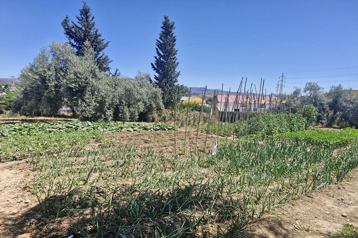 4 Bed Finca - Cortijo in Campanillas
