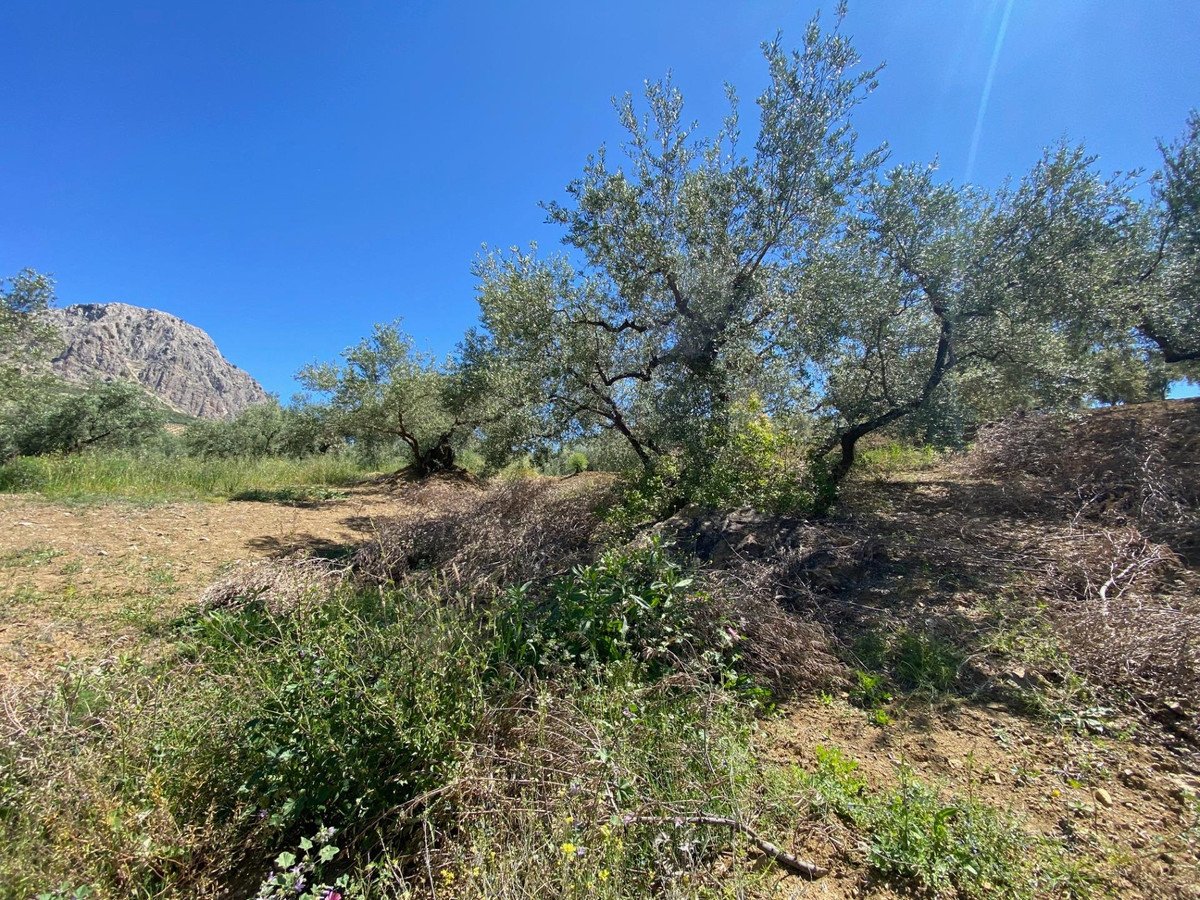 Residential Plot in Riogordo