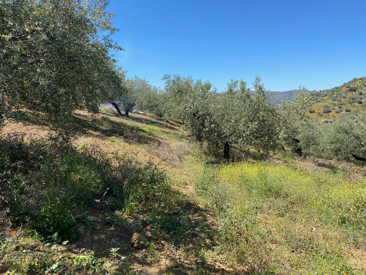 Residential Plot in Riogordo