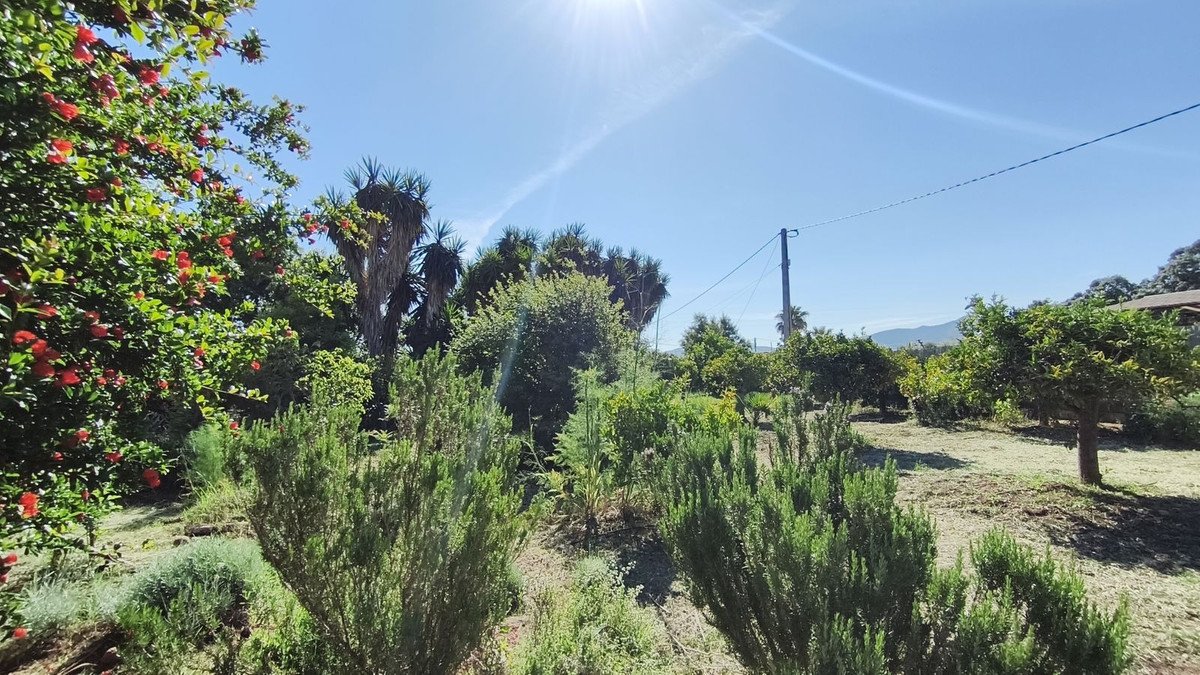 3 Bed Finca - Cortijo in Alhaurín el Grande