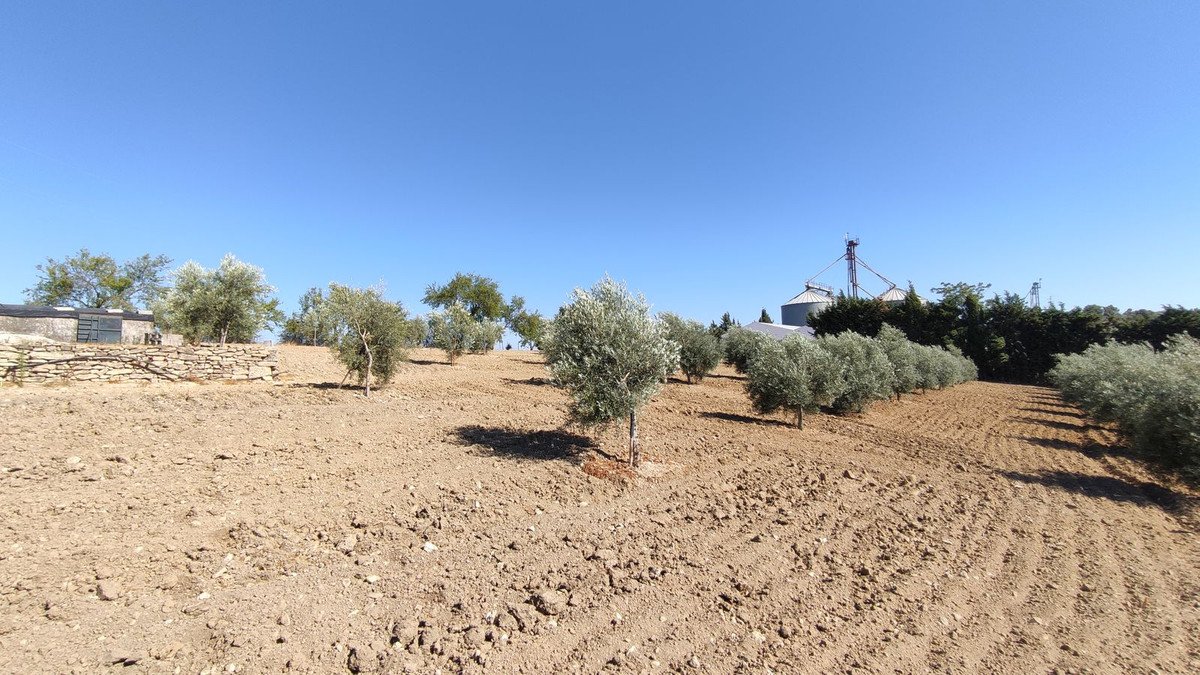 4 Bed Finca - Cortijo in Ronda