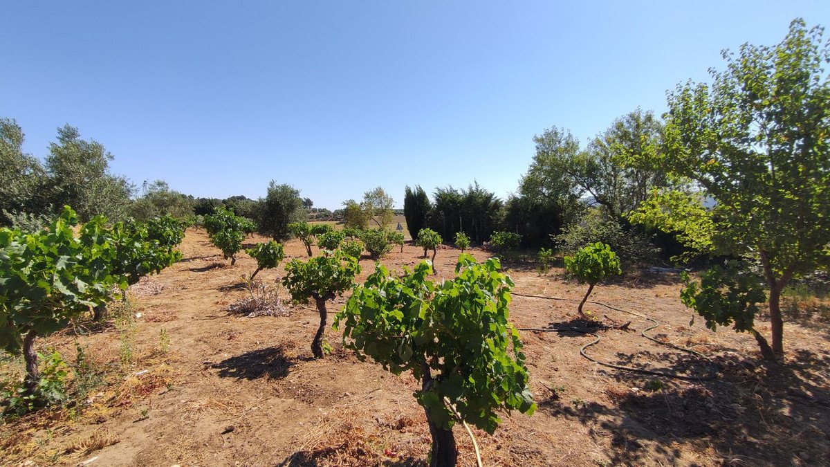 4 Bed Finca - Cortijo in Ronda