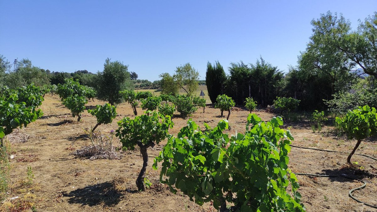 4 Bed Finca - Cortijo in Ronda