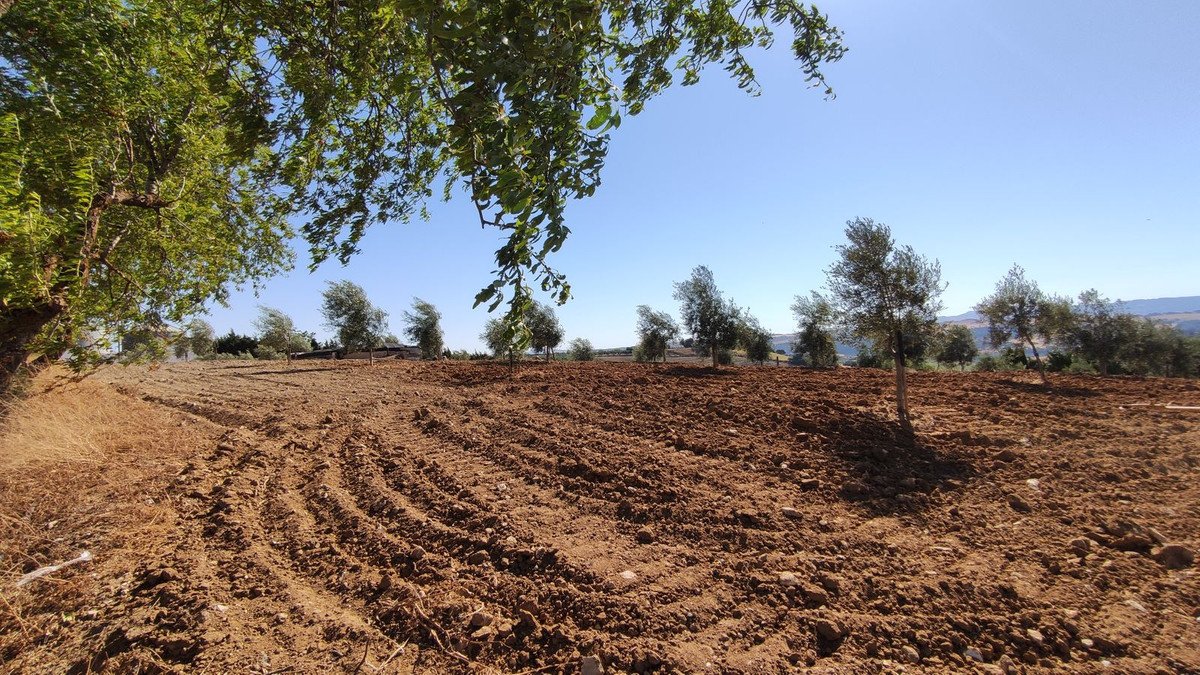 4 Bed Finca - Cortijo in Ronda
