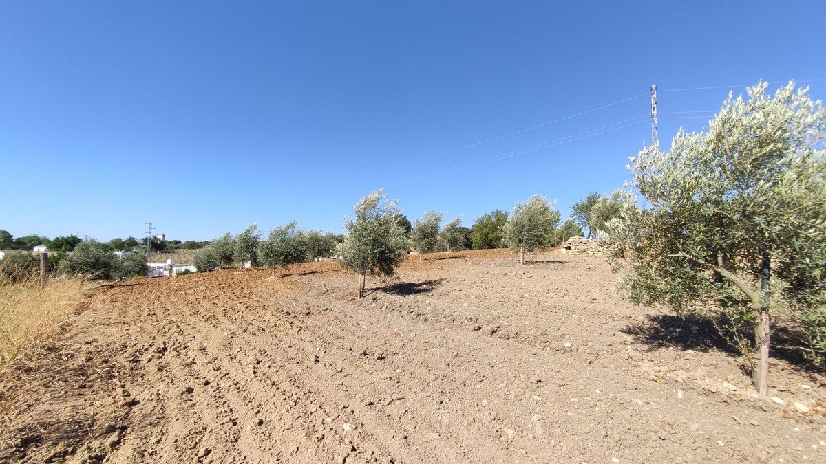 4 Bed Finca - Cortijo in Ronda