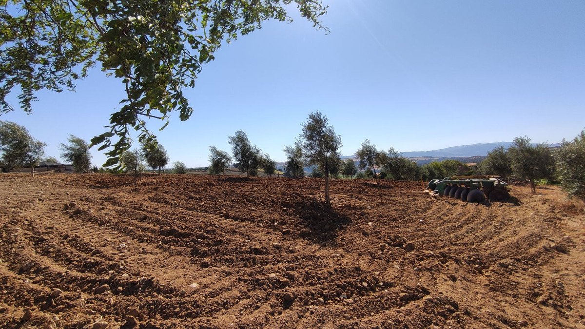 4 Bed Finca - Cortijo in Ronda