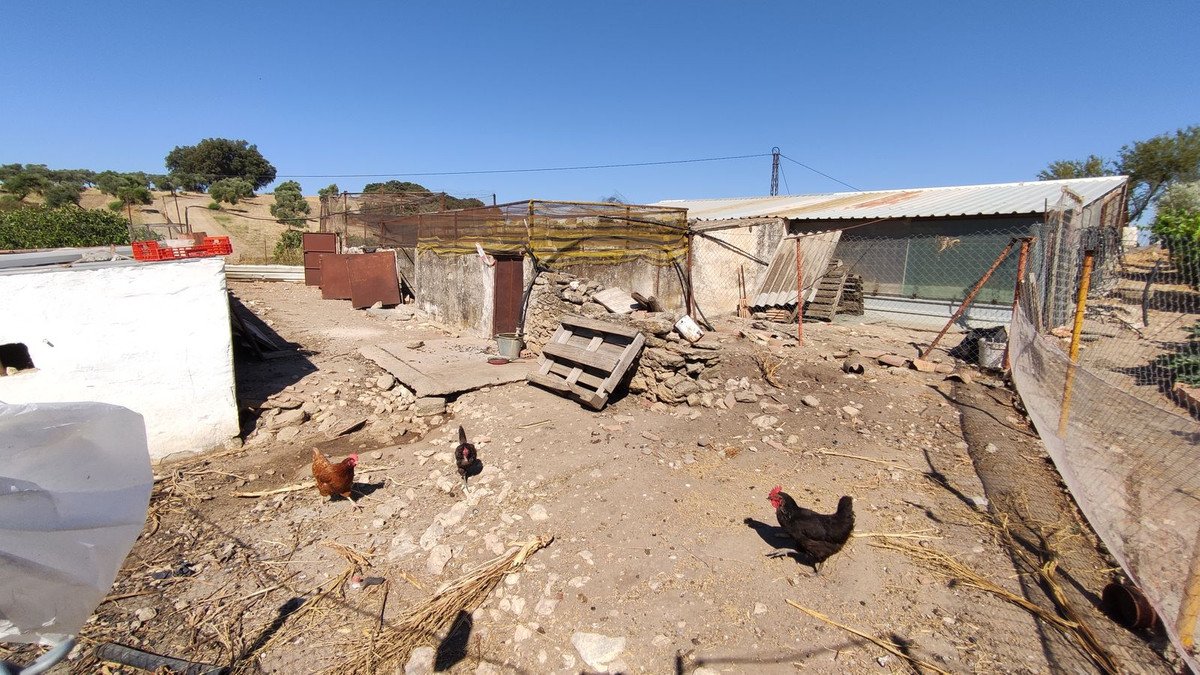 4 Bed Finca - Cortijo in Ronda