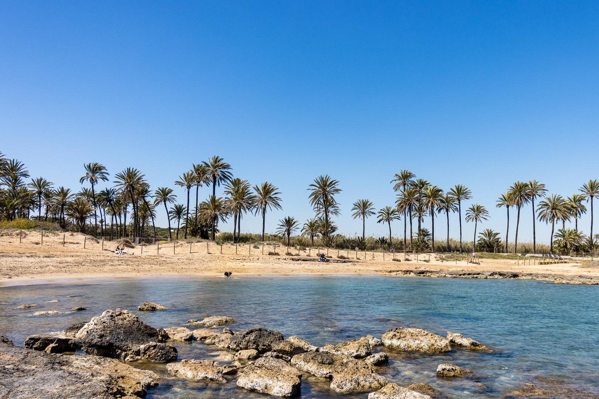 2 Bed Bungalow in Torrevieja