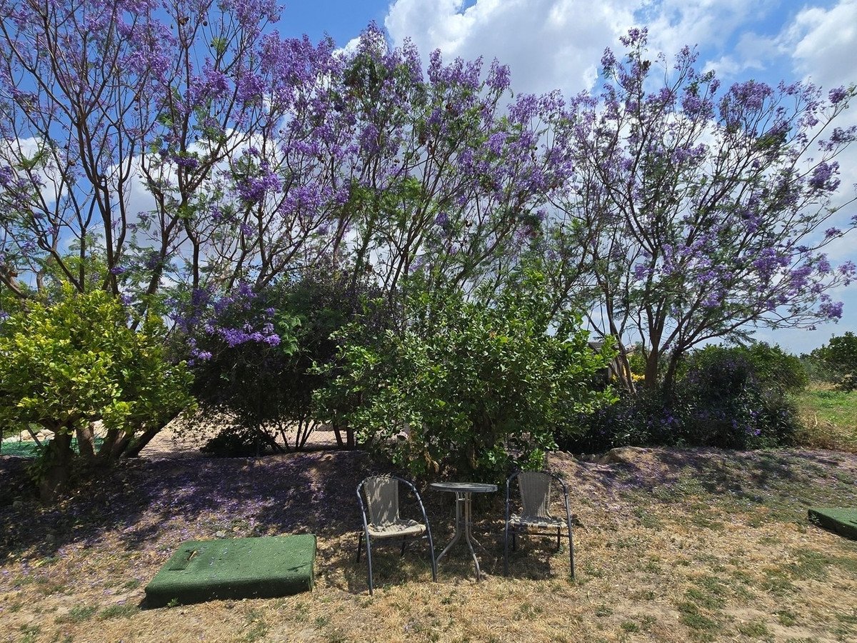 3 Bed Detached Villa in Zurgena