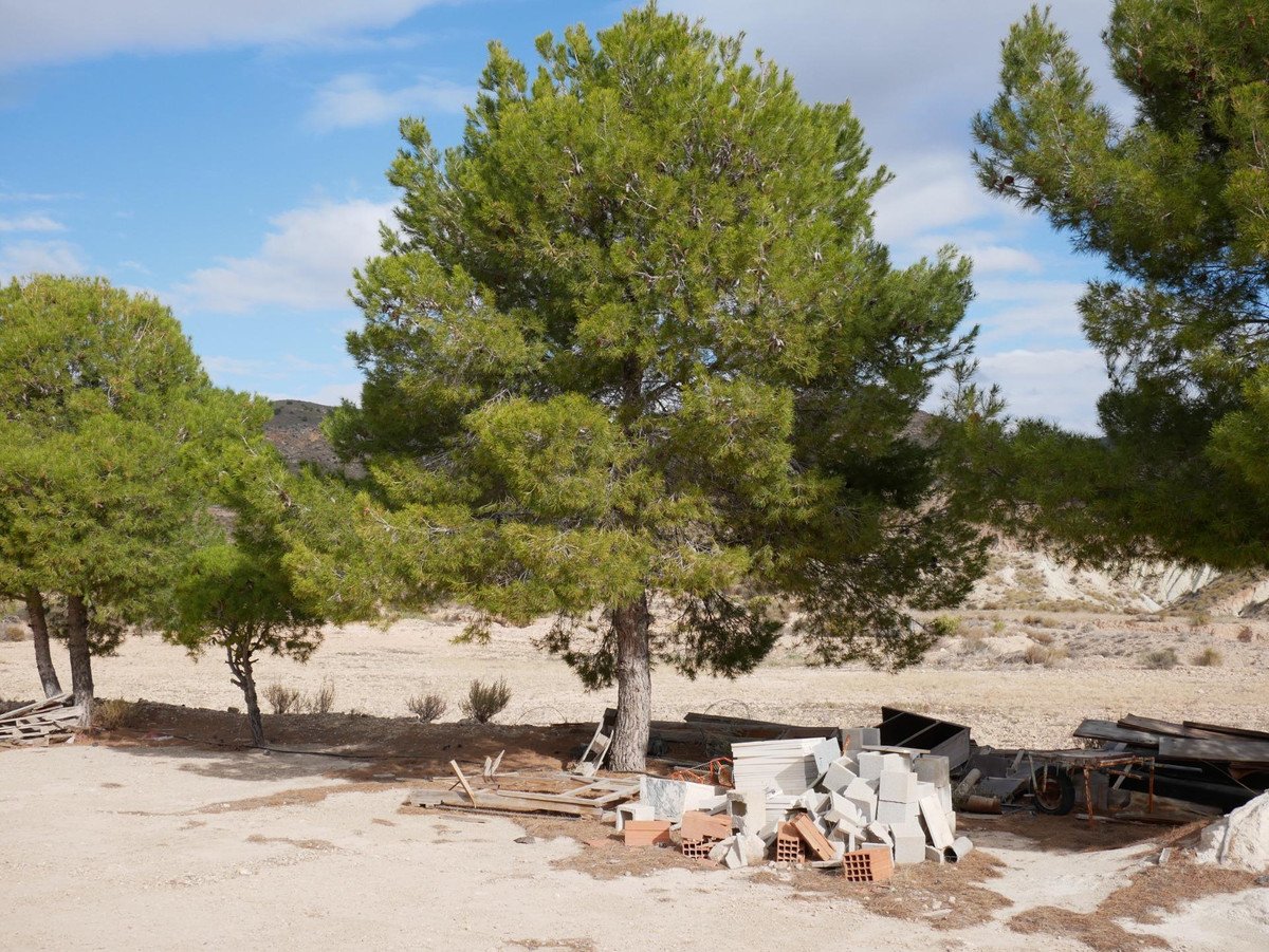 1 Bed Bungalow in Abanilla