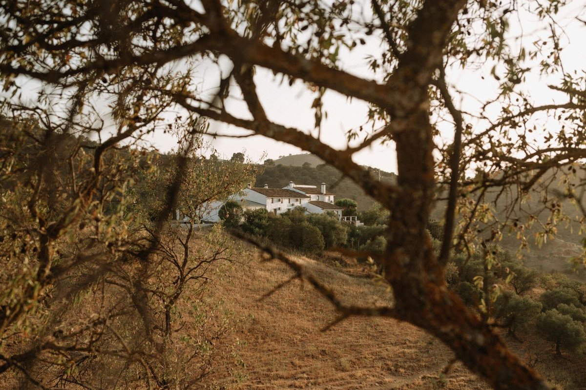 8 Bed Finca - Cortijo in Casabermeja