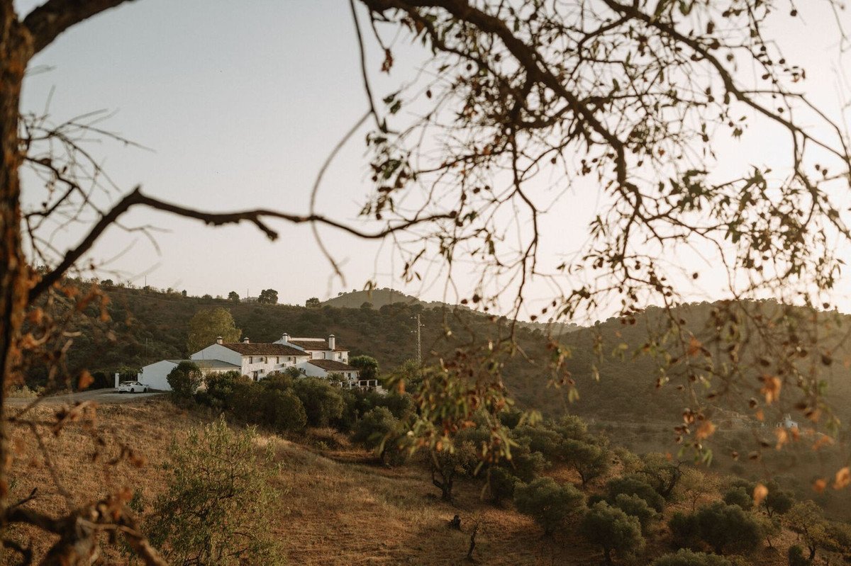 8 Bed Finca - Cortijo in Casabermeja
