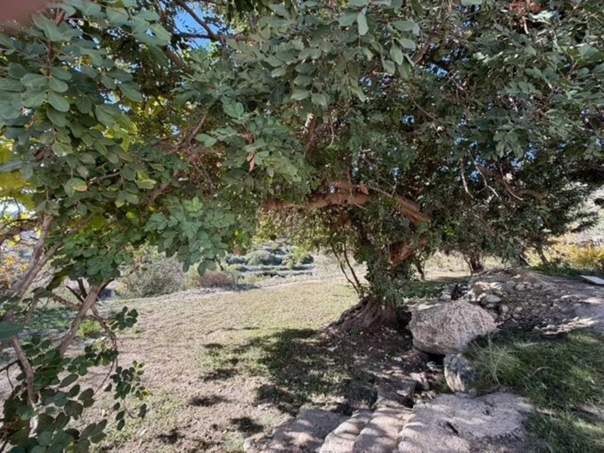 5 Bed Finca - Cortijo in Sorbas