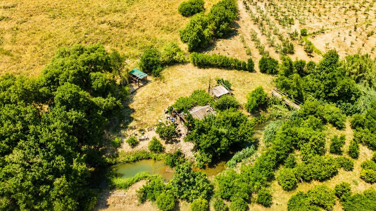 4 Bed Finca - Cortijo in Jimena de la Frontera