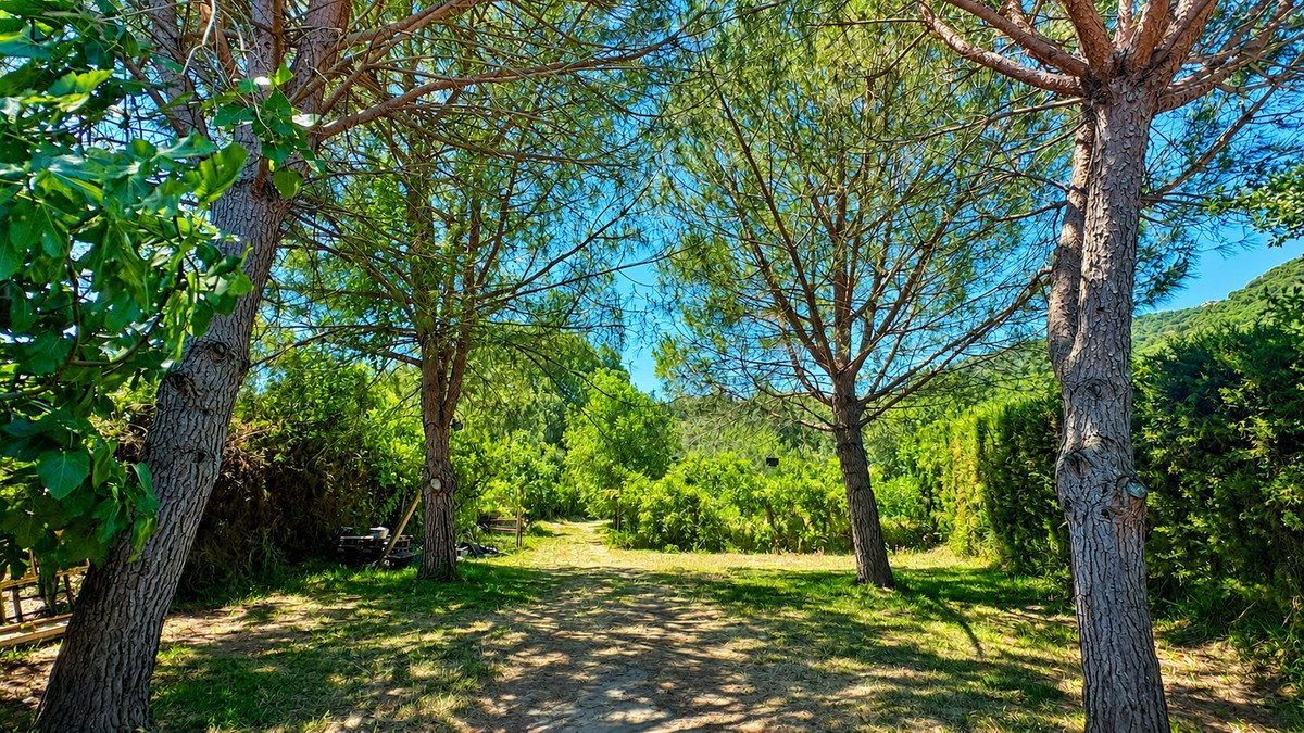 4 Bed Finca - Cortijo in Jimena de la Frontera