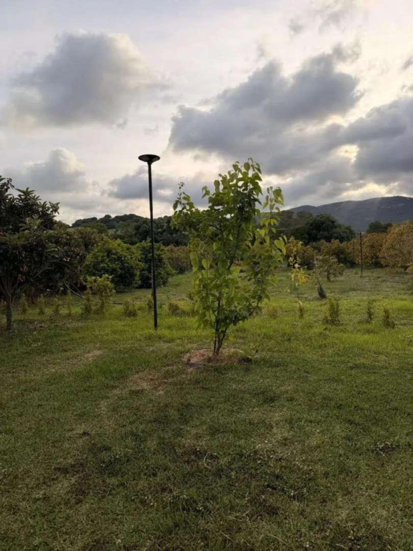 Land in San Pablo de Buceite