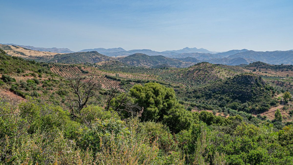 7 Bed Finca - Cortijo in Almogía