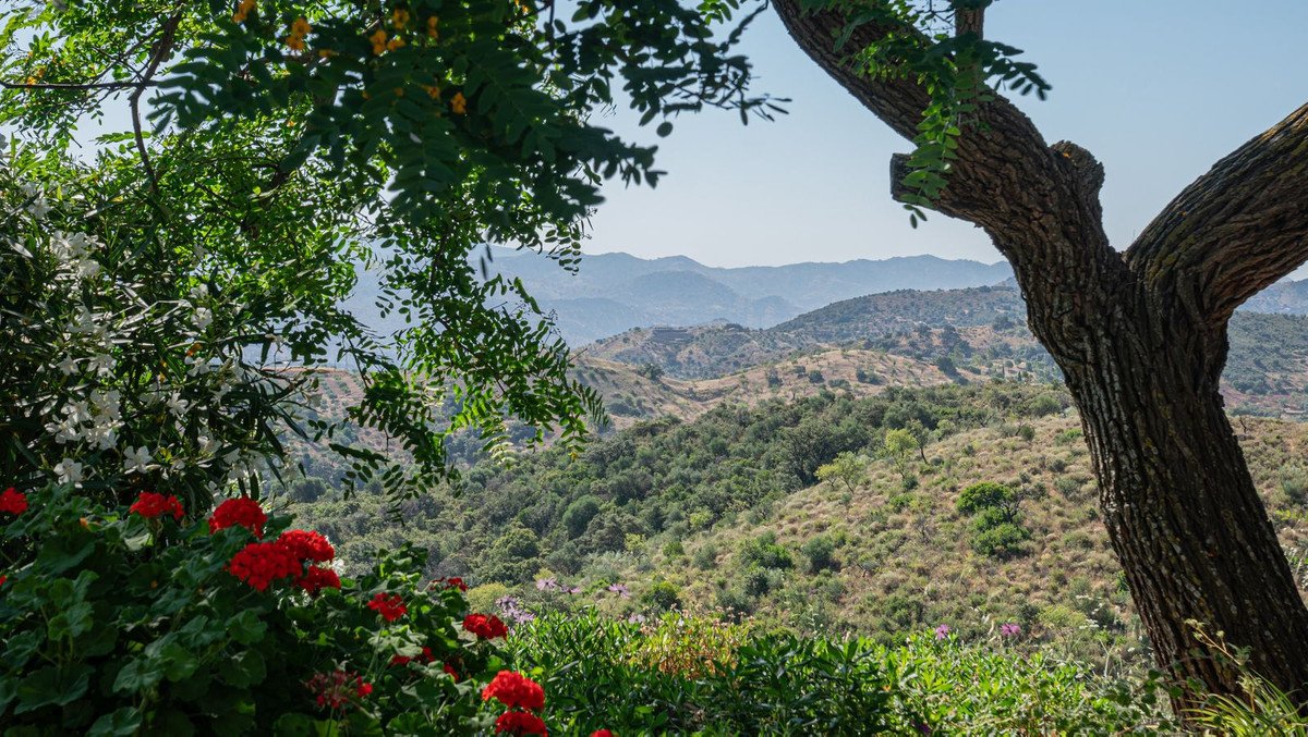 7 Bed Finca - Cortijo in Almogía