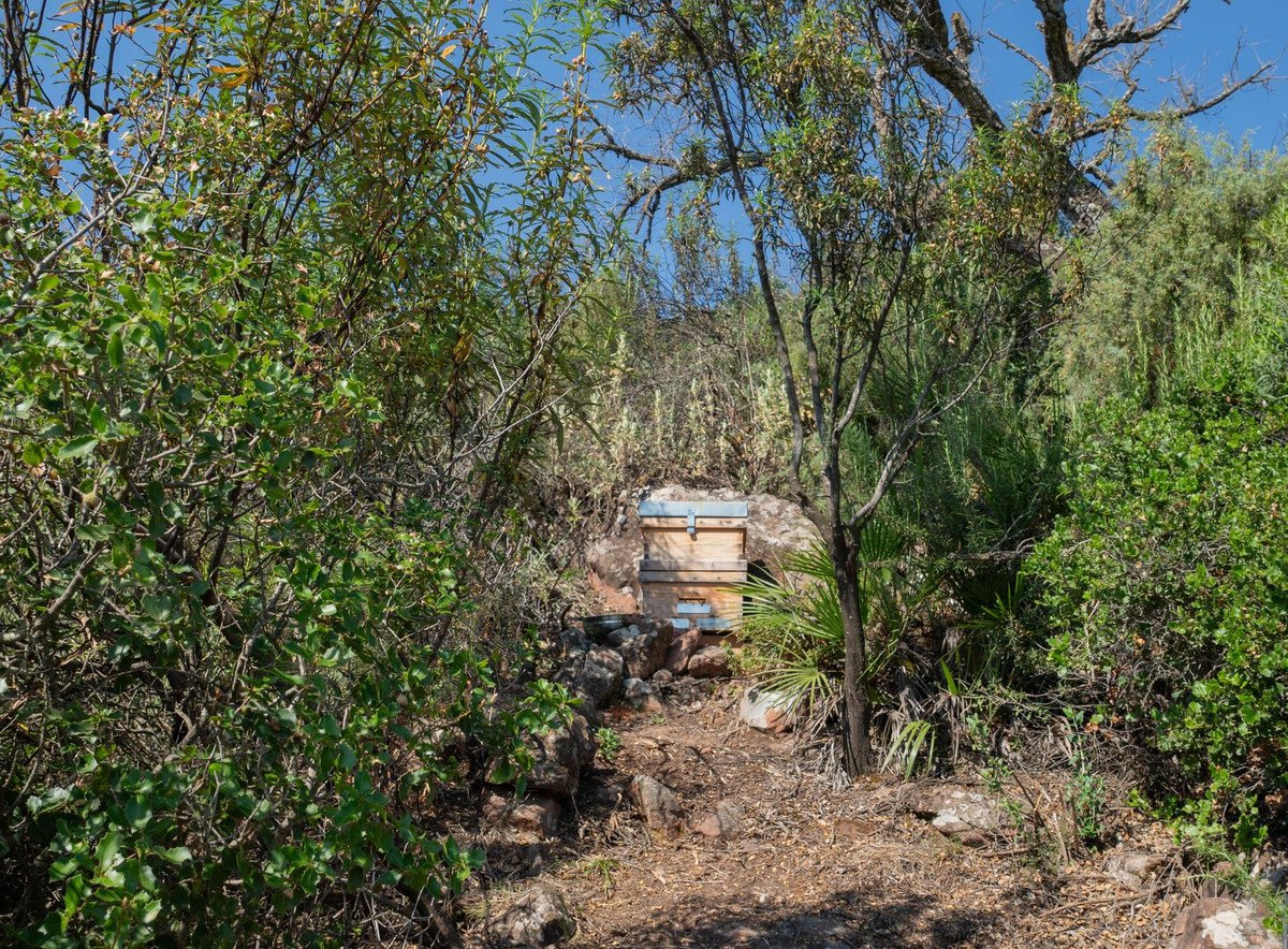 7 Bed Finca - Cortijo in Almogía