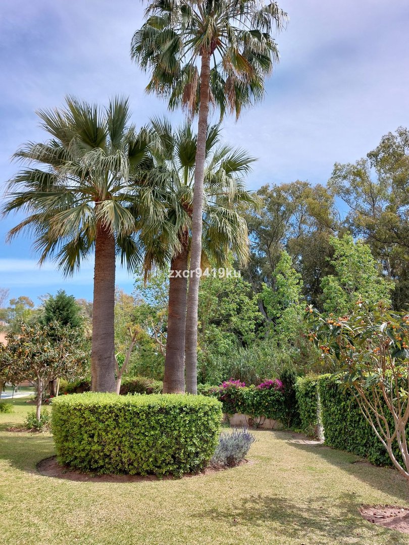 3 Bed Ground Floor Apartment in Carib Playa