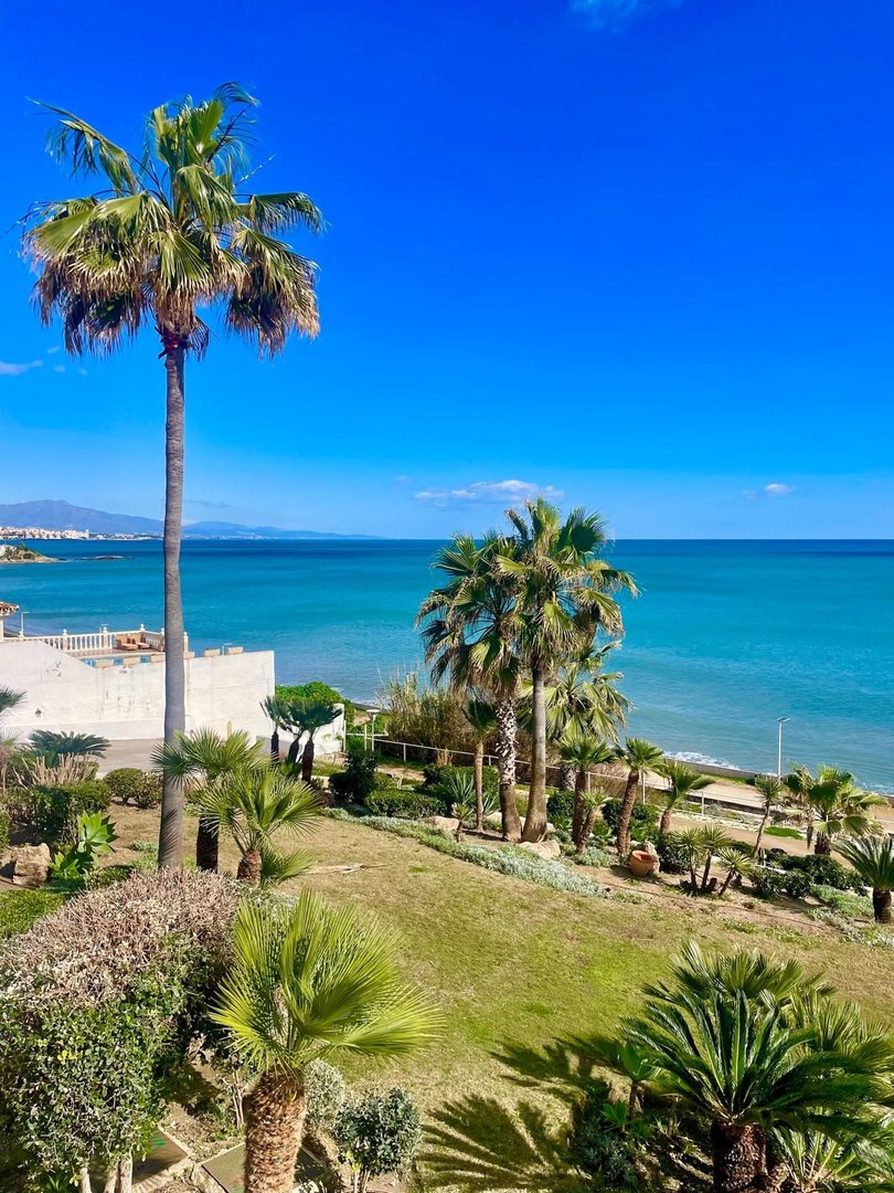 2 Bed Ground Floor Apartment in Estepona