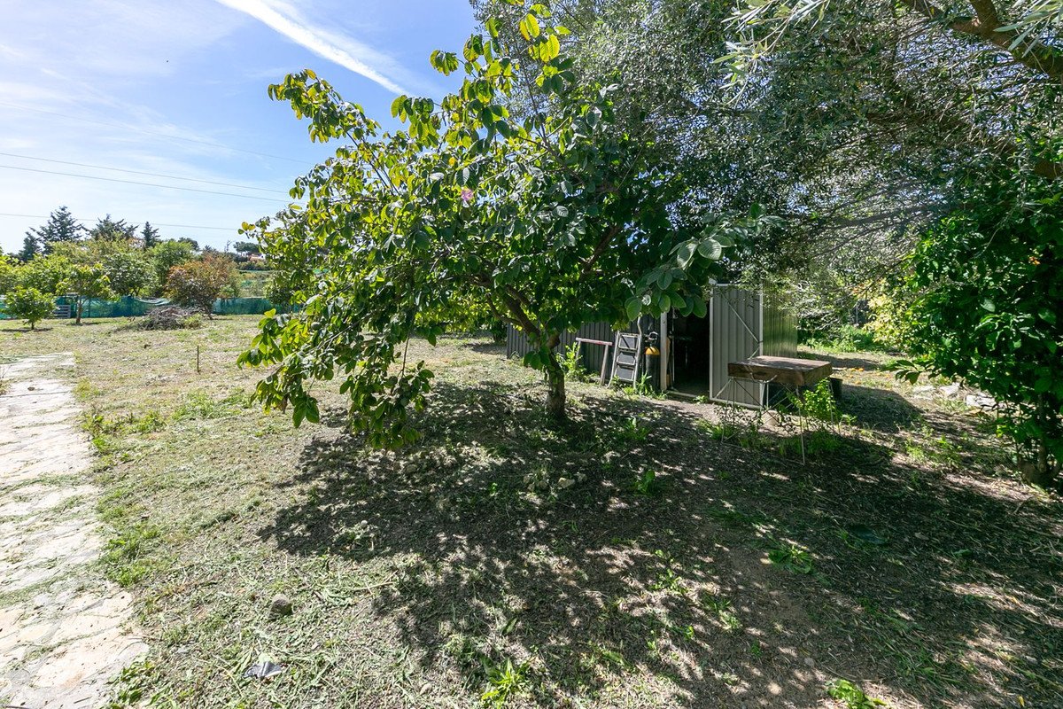 10 Bed Finca - Cortijo in Estepona