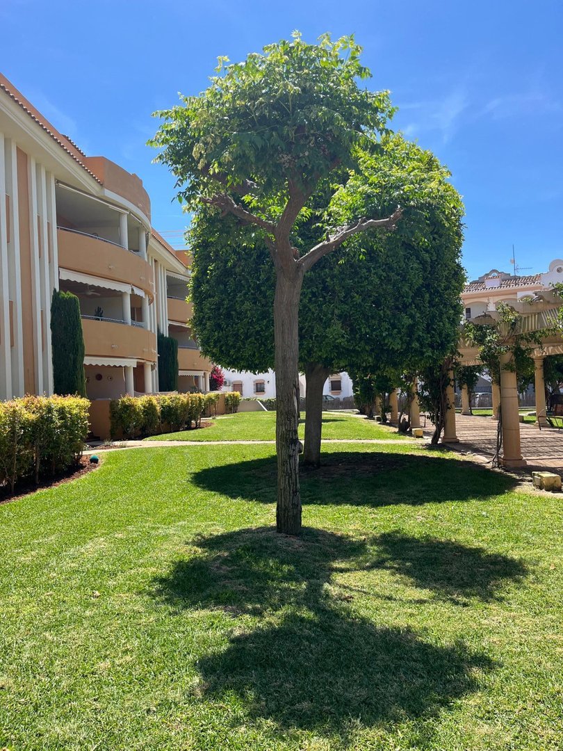 2 Bed Middle Floor Apartment in Denia