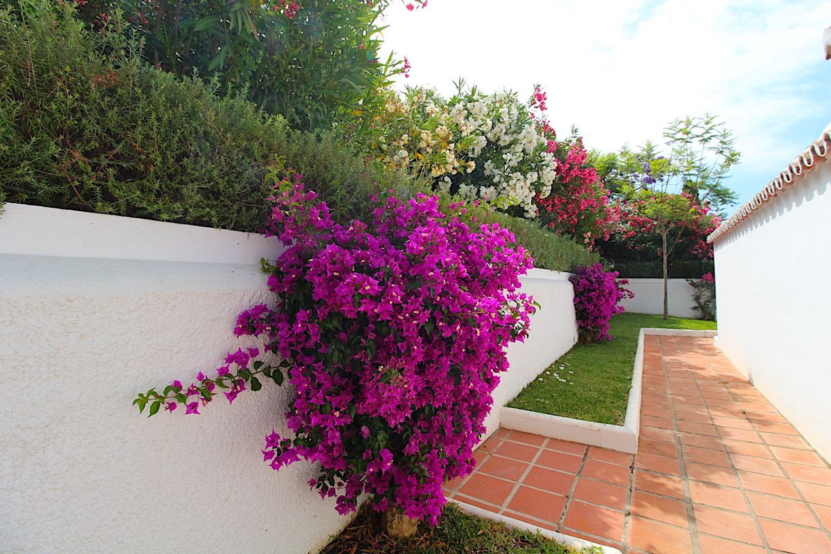 4 Bed Semi-Detached House in Aloha