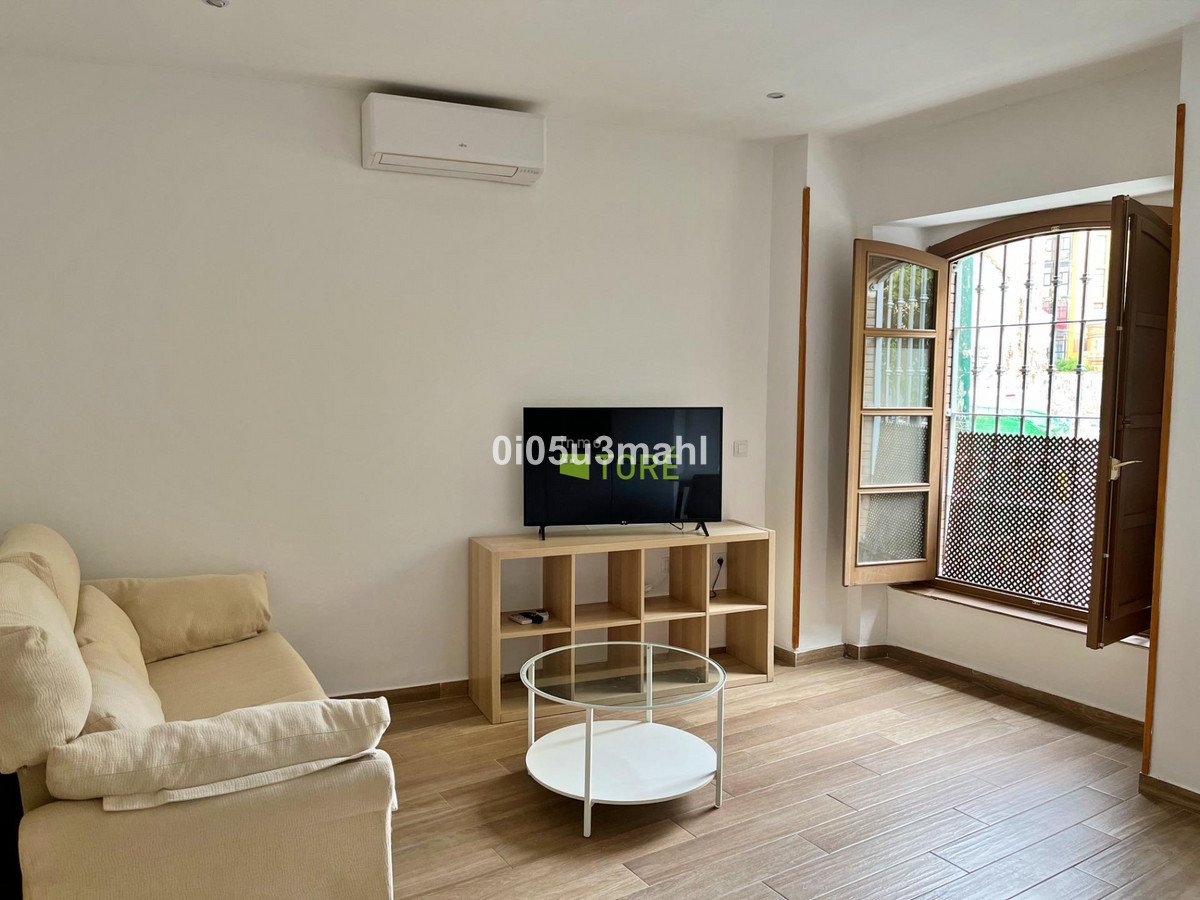 1 Bed Ground Floor Apartment in Málaga